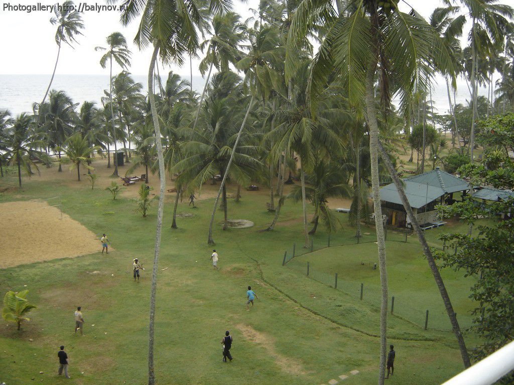 Шри-Ланка отель Villa Ocean View фото 486