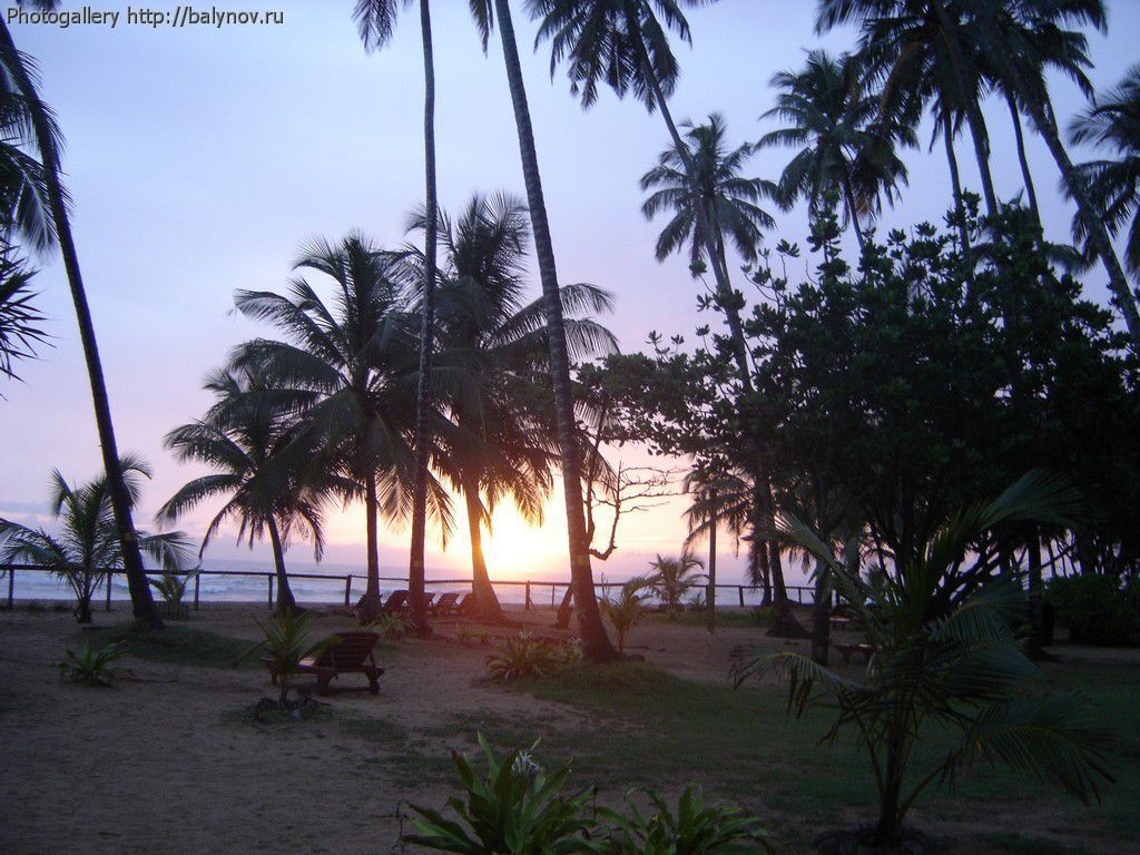 Шри-Ланка отель Villa Ocean View фото 491