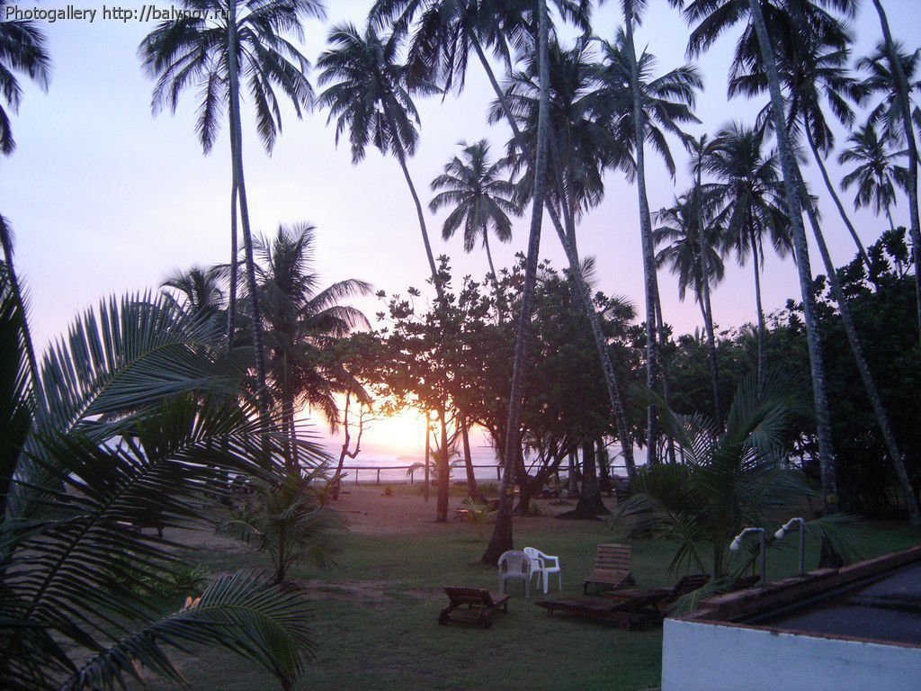 Шри-Ланка отель Villa Ocean View фото 492