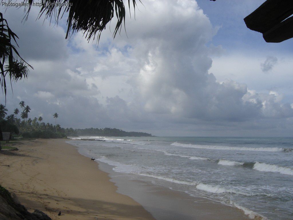 Шри-Ланка отель Villa Ocean View фото 500