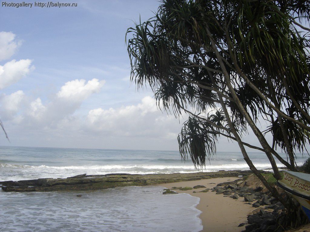 Шри-Ланка отель Villa Ocean View фото 501