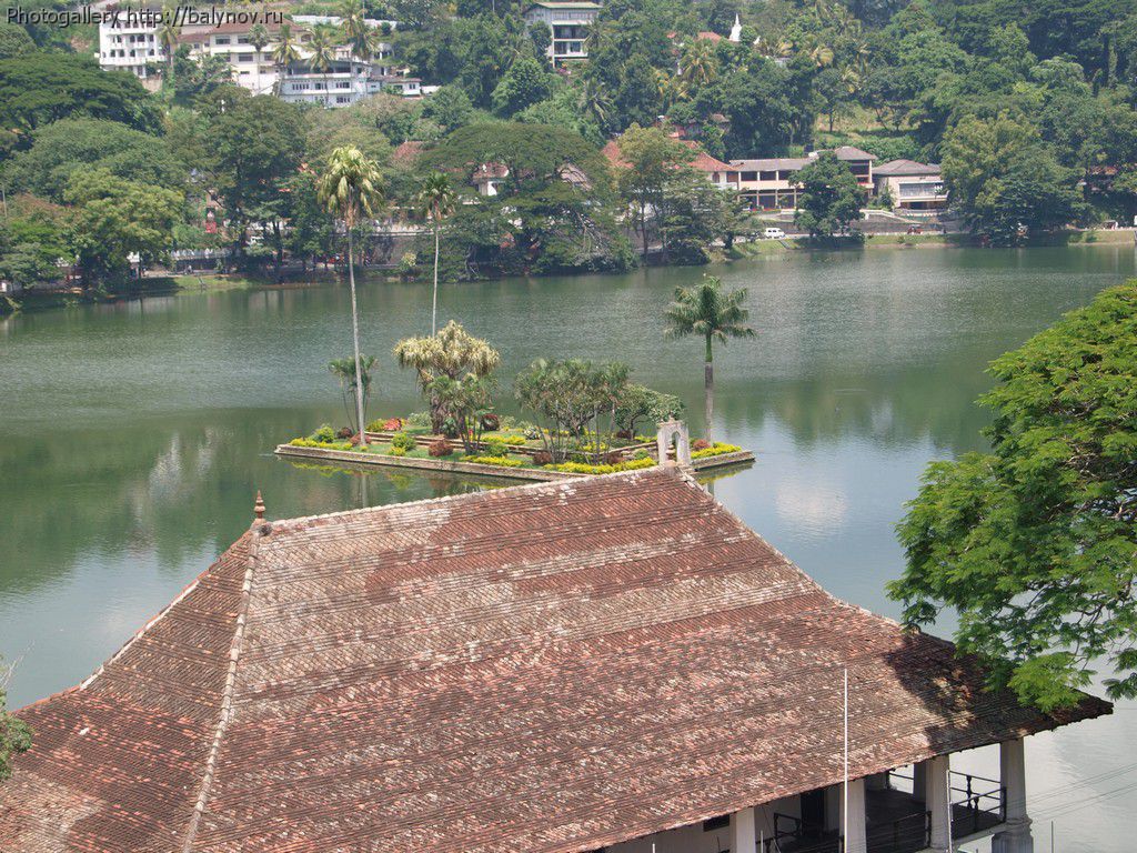 Шри-Ланка отель Villa Ocean View фото 321