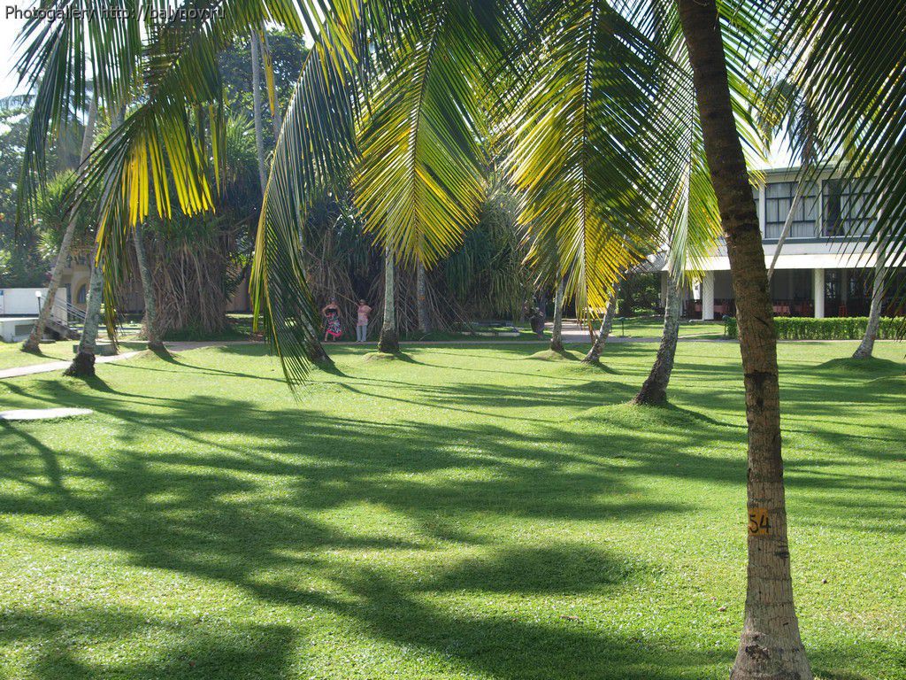 Шри-Ланка отель Villa Ocean View фото 344