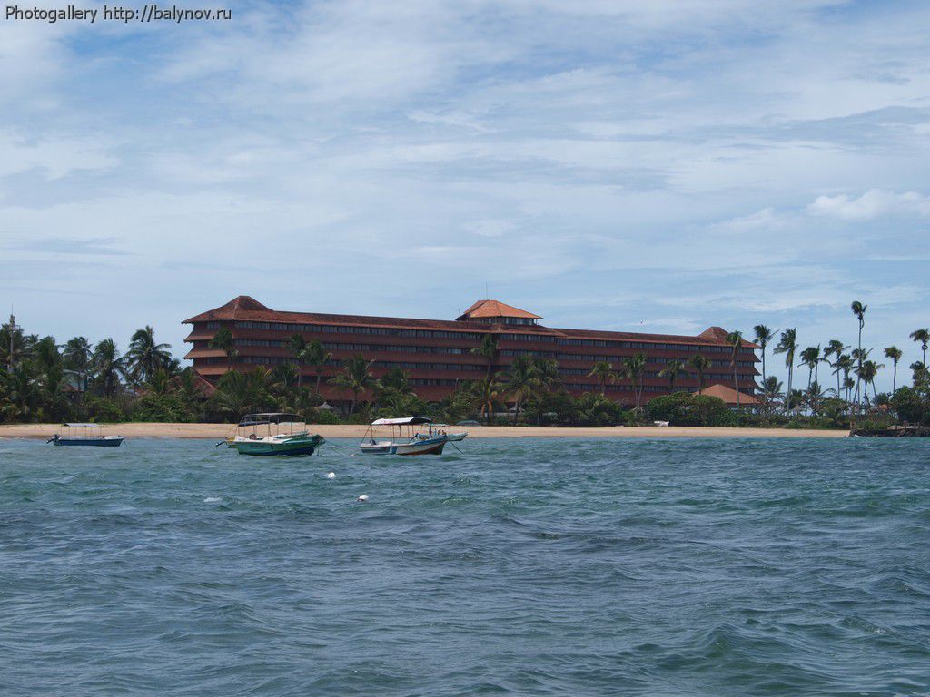 Шри-Ланка отель Villa Ocean View фото 375