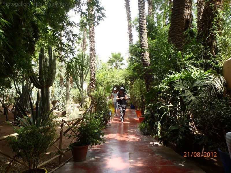 Марокко отель Caribbean Village Agador фото 1340