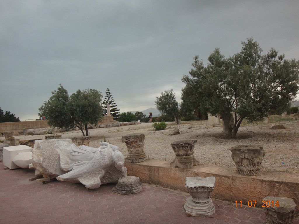 Тунис отель Dessole Le Hammamet Resort фото 2348