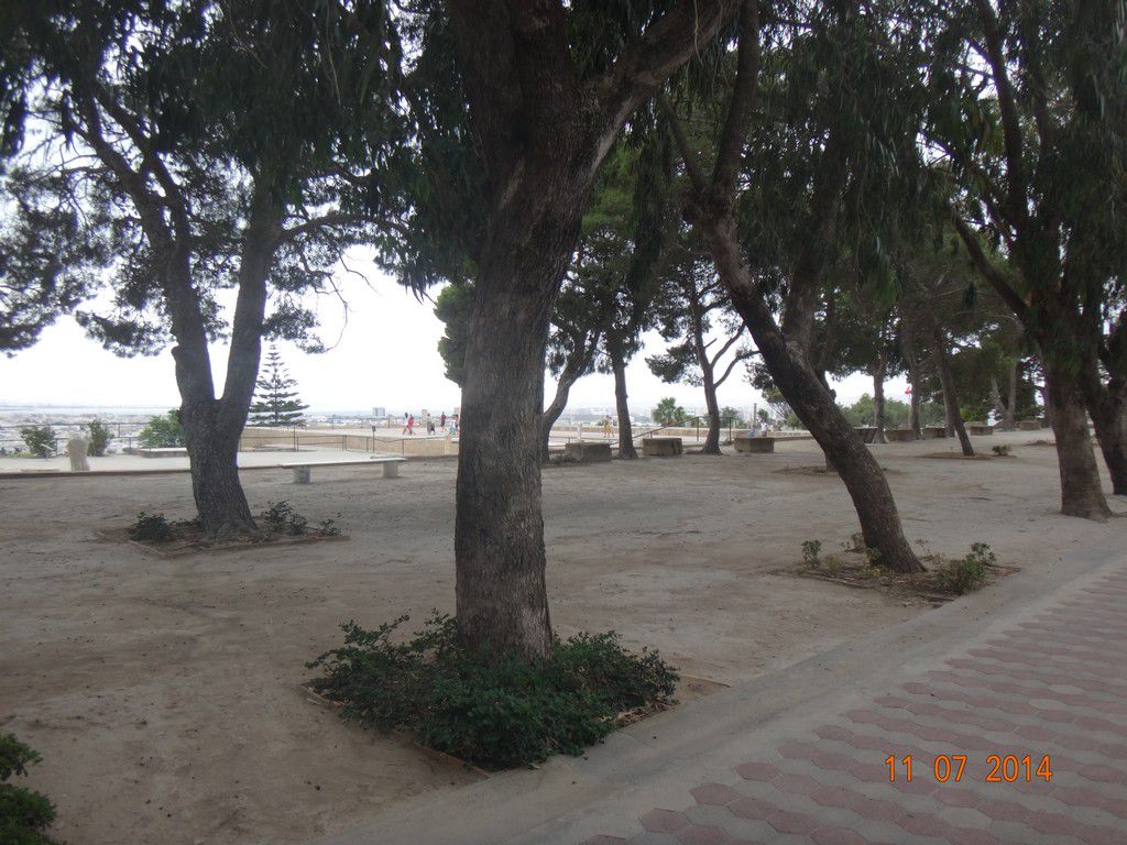 Тунис отель Dessole Le Hammamet Resort фото 2379
