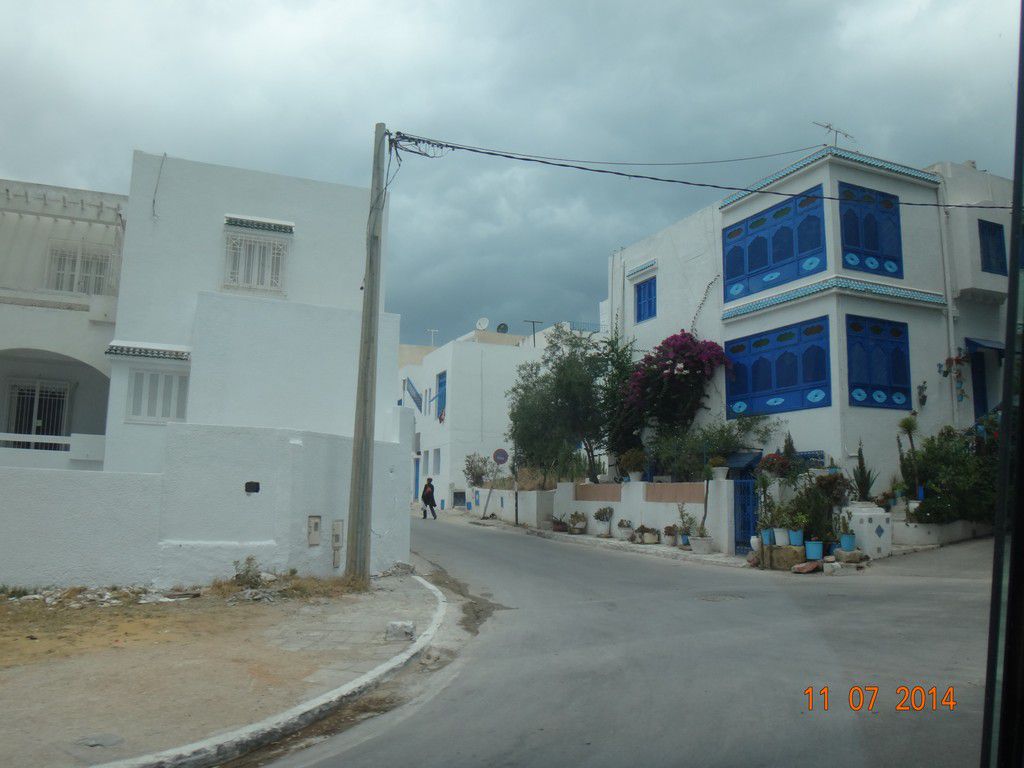 Тунис отель Dessole Le Hammamet Resort фото 2443