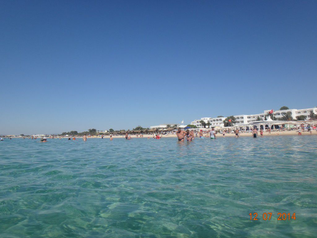 Тунис отель Dessole Le Hammamet Resort фото 2585