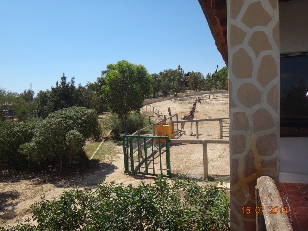 Тунис отель Dessole Le Hammamet Resort фото 2632