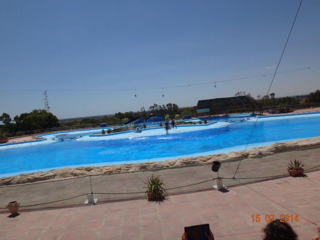 Тунис отель Dessole Le Hammamet Resort фото 2669