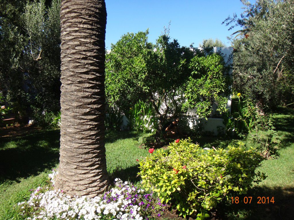 Тунис отель Dessole Le Hammamet Resort фото 2758