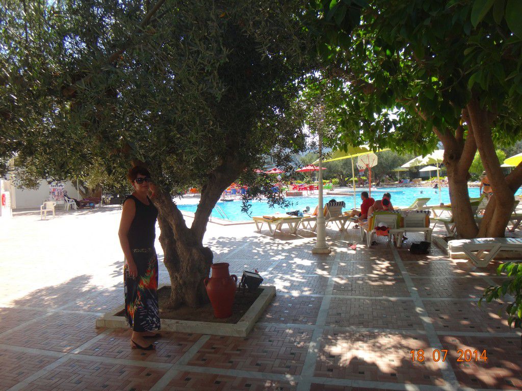 Тунис отель Dessole Le Hammamet Resort фото 2779