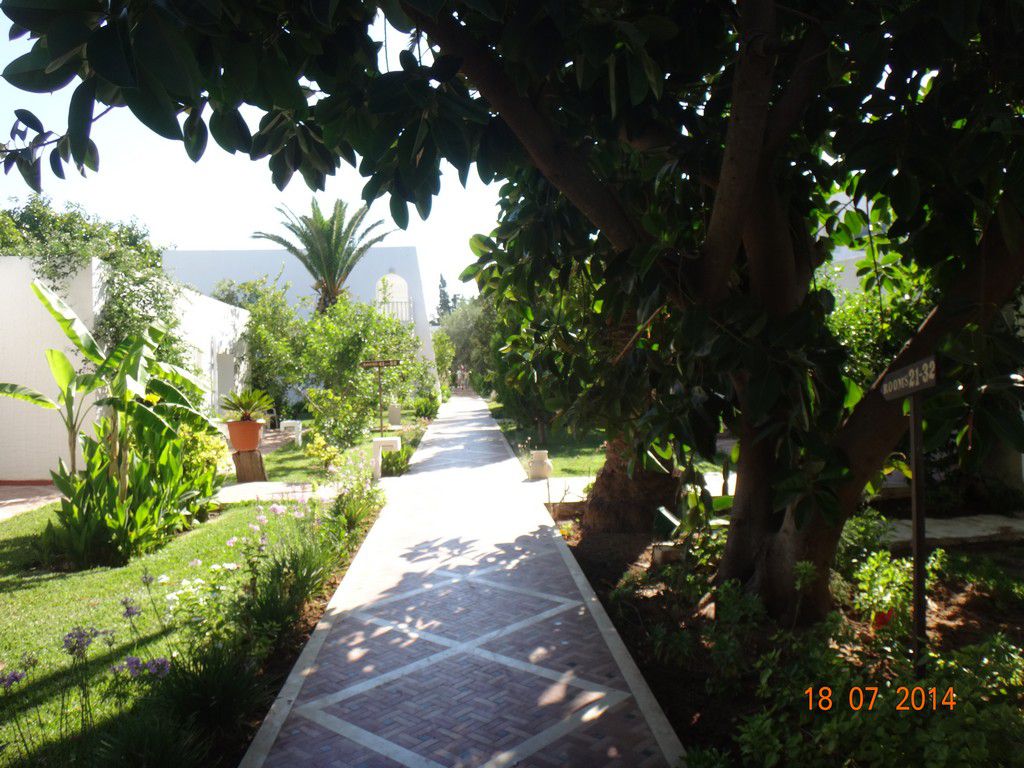 Тунис отель Dessole Le Hammamet Resort фото 2805