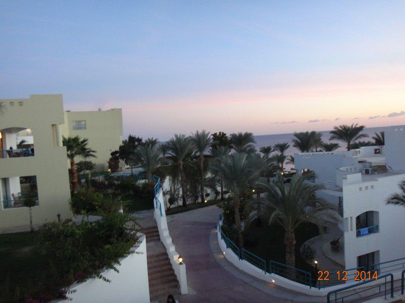 Египет отель Dessole Royal Rojana Resort фото 2863