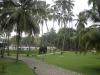 Шри-Ланка отель Villa Ocean View фото 423