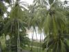 Шри-Ланка отель Villa Ocean View фото 487