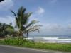 Шри-Ланка отель Villa Ocean View фото 496