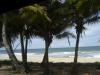 Шри-Ланка отель Villa Ocean View фото 512