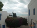 Тунис отель Dessole Le Hammamet Resort фото 2452