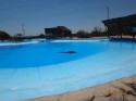 Тунис отель Dessole Le Hammamet Resort фото 2667
