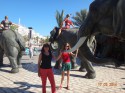 Тунис отель Dessole Le Hammamet Resort фото 2734
