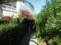 Тунис отель Dessole Le Hammamet Resort фото 2767