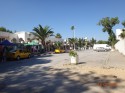 Тунис отель Dessole Le Hammamet Resort фото 2795