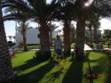 Египет отель Dessole Royal Rojana Resort фото 2915