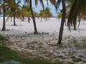 Куба отель Hotetur Sun Beach фото 211